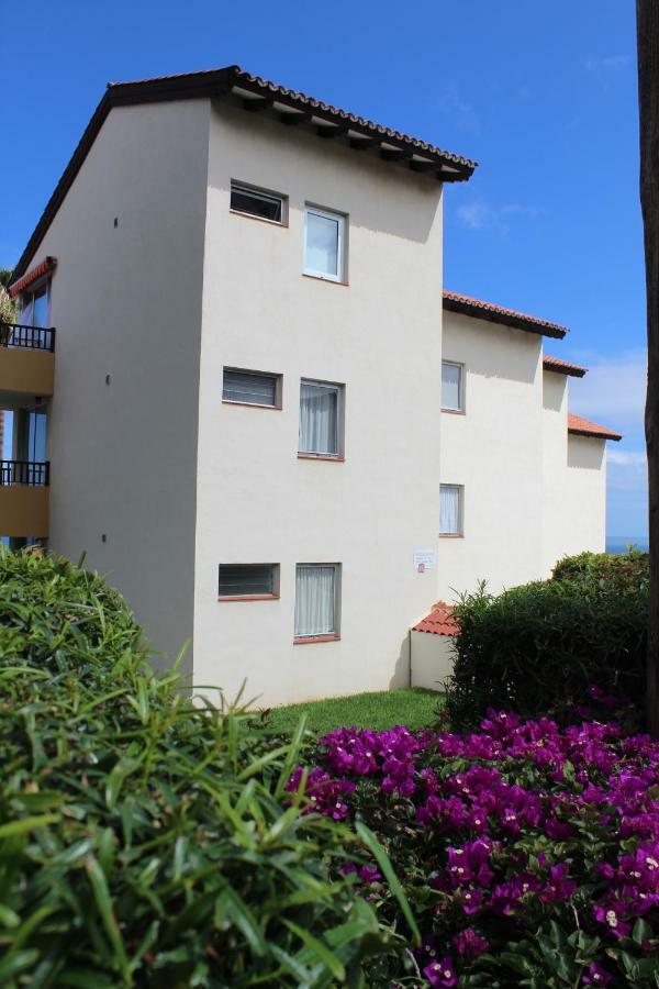 Holidaynorthtenerife Exotic Apartament Los Realejos Exteriör bild