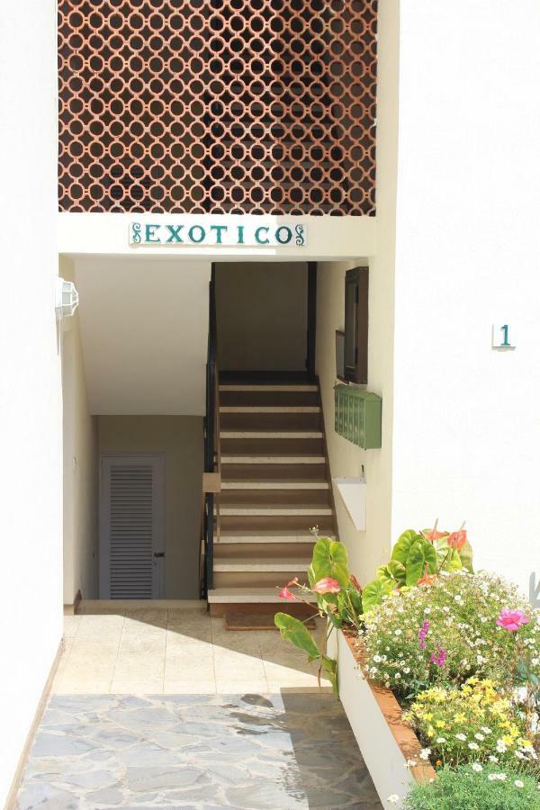 Holidaynorthtenerife Exotic Apartament Los Realejos Exteriör bild