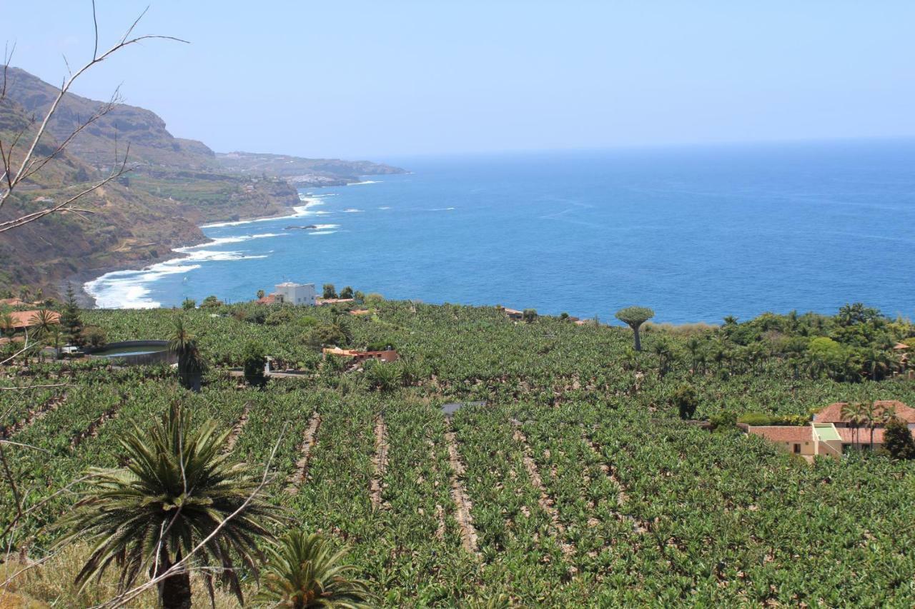 Holidaynorthtenerife Exotic Apartament Los Realejos Exteriör bild