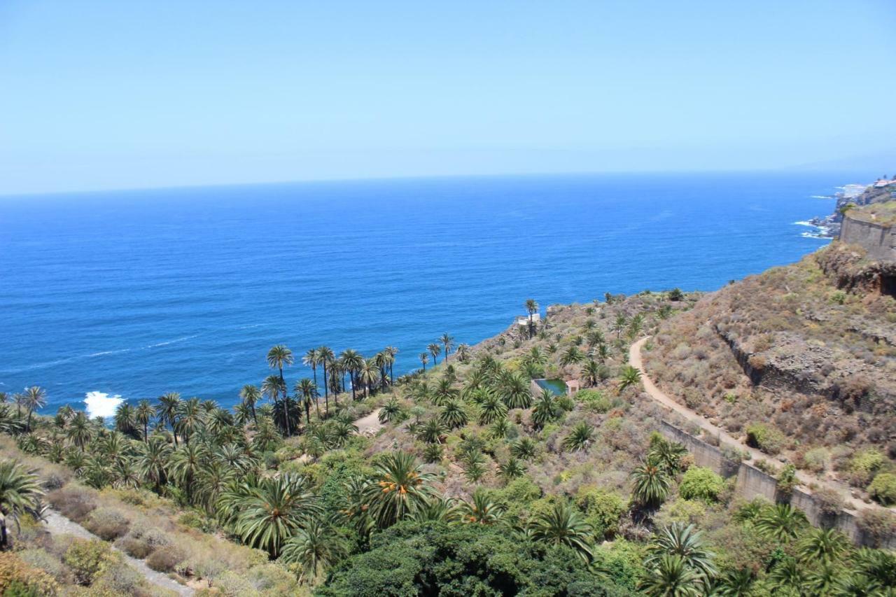 Holidaynorthtenerife Exotic Apartament Los Realejos Exteriör bild