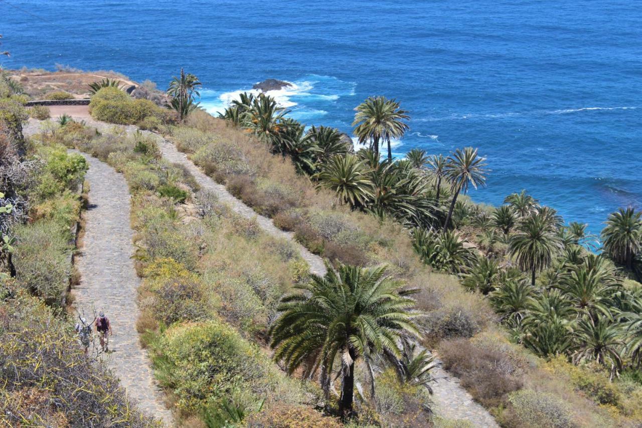 Holidaynorthtenerife Exotic Apartament Los Realejos Exteriör bild